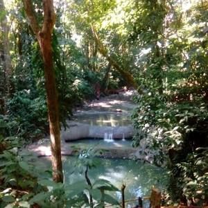 Meet your Posher, Aura